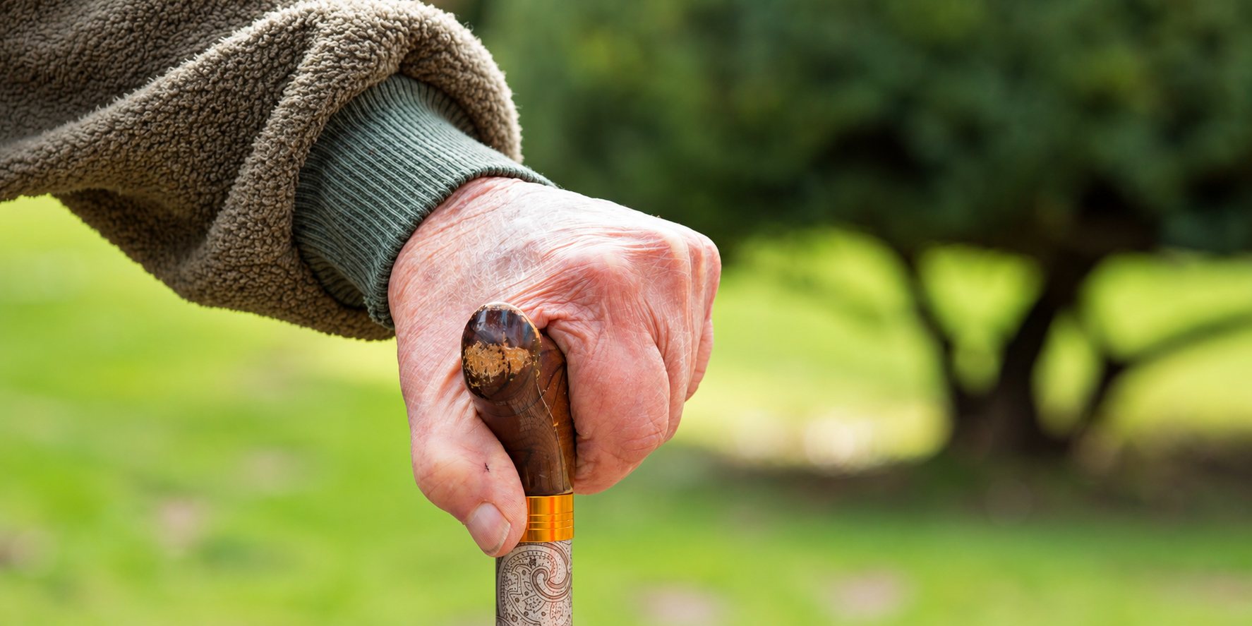 Main âgée tenant une canne en bois dans un parc.